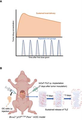 Sustained delivery of PARP inhibitor Talazoparib for the treatment of BRCA-deficient ovarian cancer